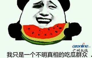 吃瓜群众的梗哪来的